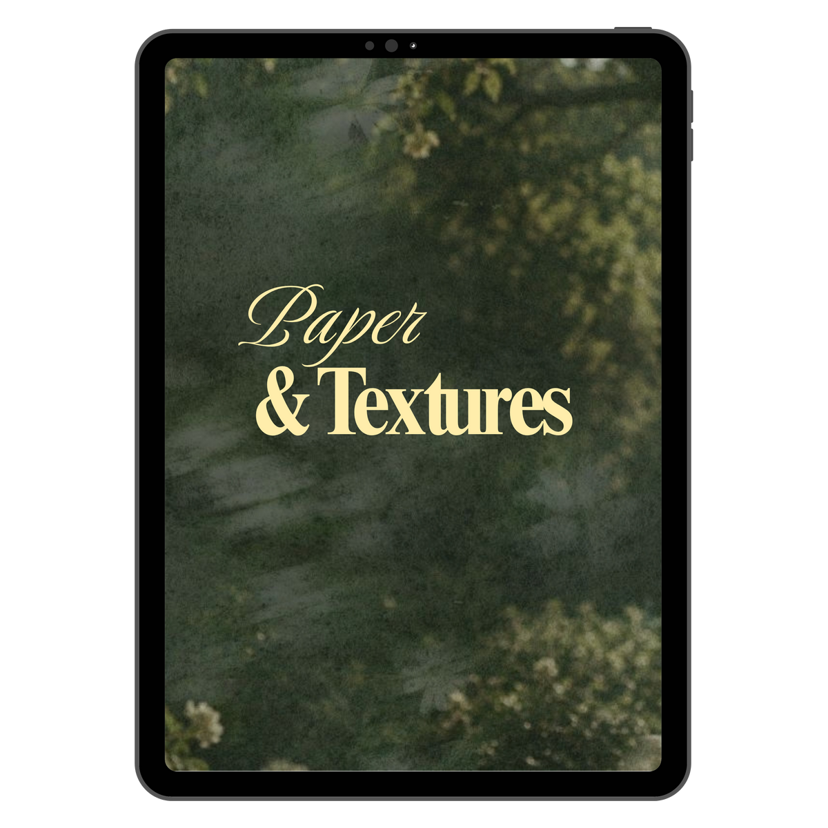 Canvas & Paper Textures