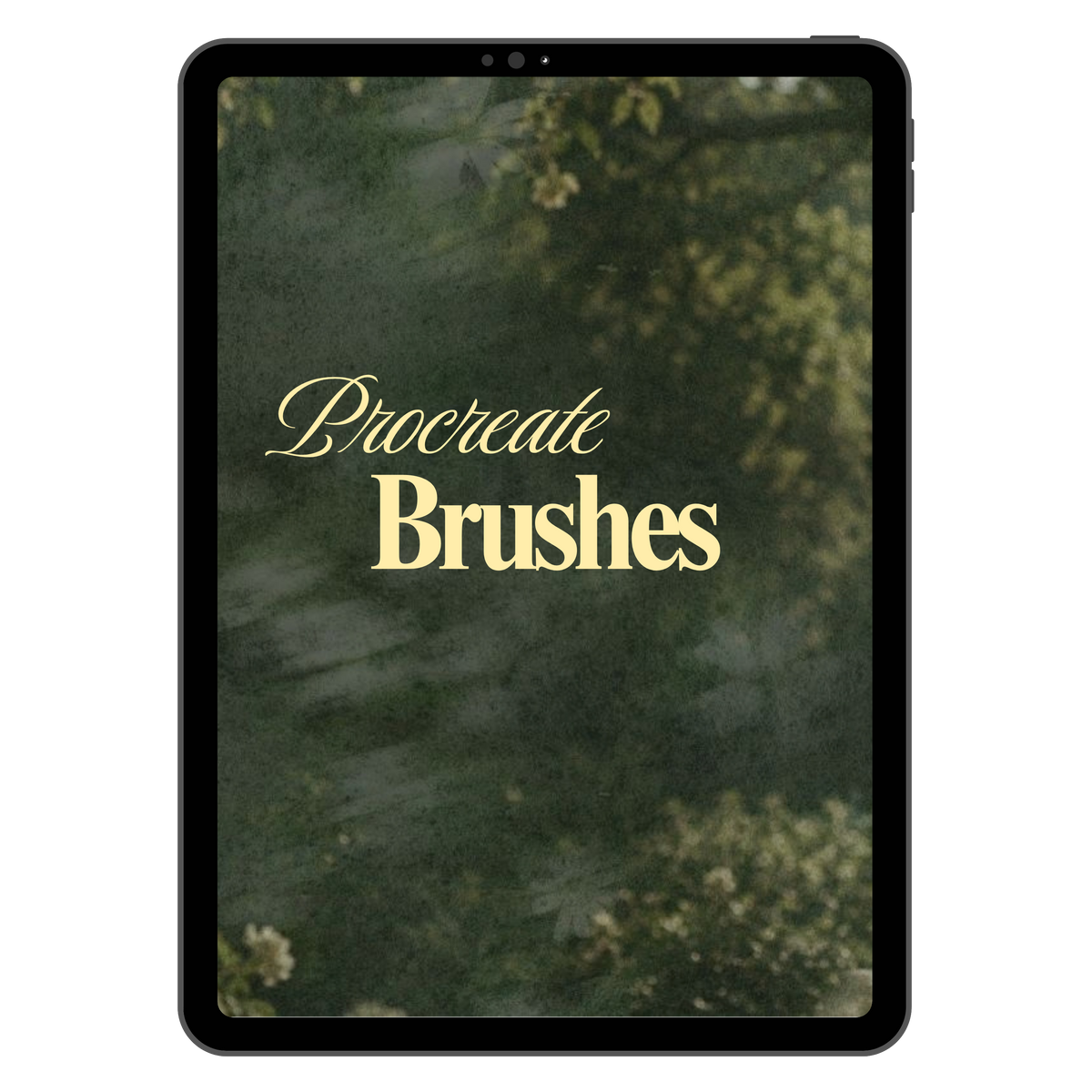 Brushes