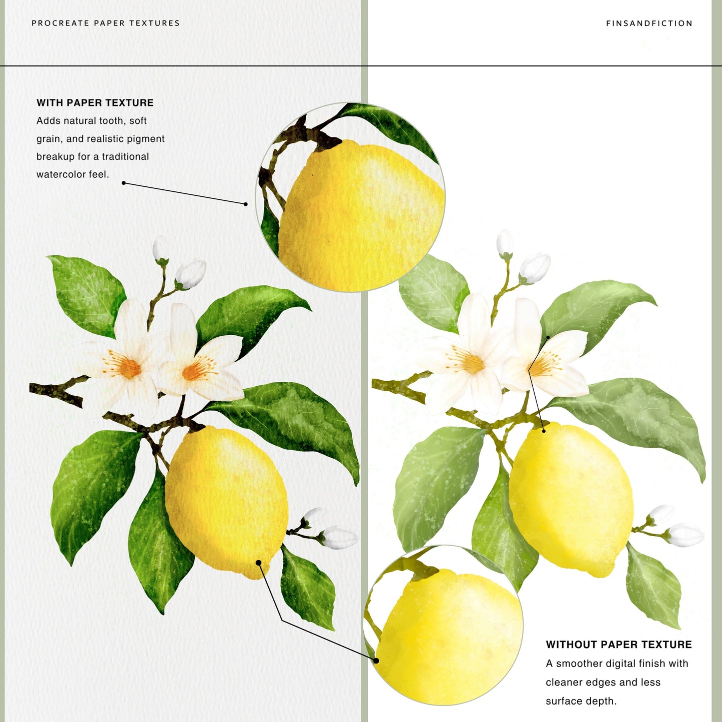 Watercolor Paper Textures for Procreate