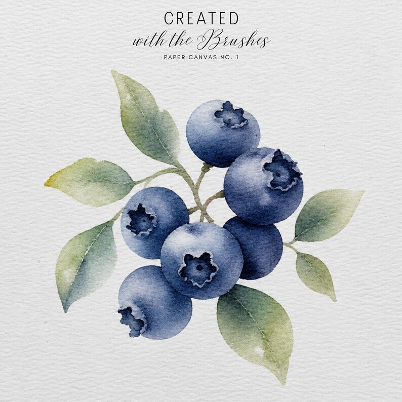 Watercolor Brush Set for Procreate | 29 Brushes + 4 Canvas Textures